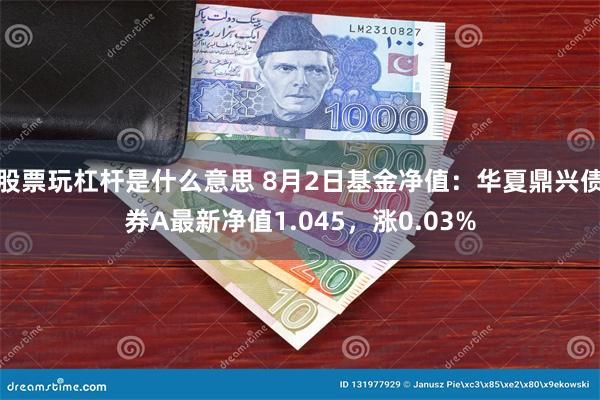 股票玩杠杆是什么意思 8月2日基金净值：华夏鼎兴债券A最新净值1.045，涨0.03%