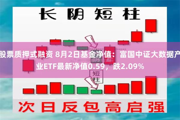 股票质押式融资 8月2日基金净值：富国中证大数据产业ETF最新净值0.59，跌2.09%