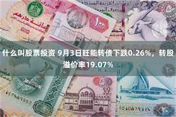 什么叫股票投资 9月3日旺能转债下跌0.26%，转股溢价率19.07%