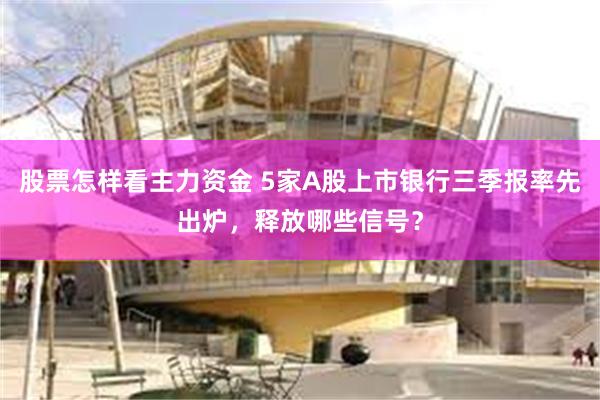 股票怎样看主力资金 5家A股上市银行三季报率先出炉，释放哪些信号？