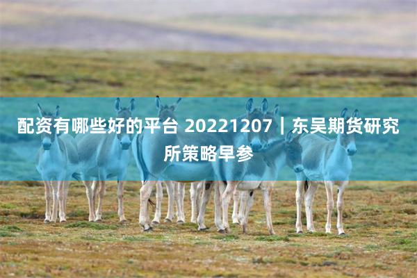 配资有哪些好的平台 20221207｜东吴期货研究所策略早参