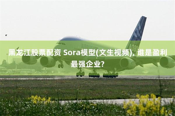 黑龙江股票配资 Sora模型(文生视频), 谁是盈利最强企业?