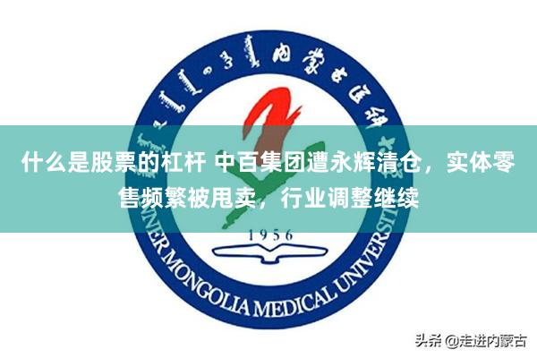 什么是股票的杠杆 中百集团遭永辉清仓，实体零售频繁被甩卖，行业调整继续