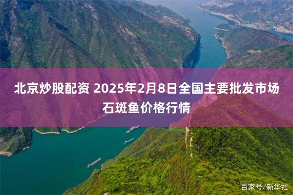 北京炒股配资 2025年2月8日全国主要批发市场石斑鱼价格行情