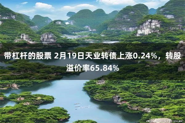 带杠杆的股票 2月19日天业转债上涨0.24%，转股溢价率65.84%