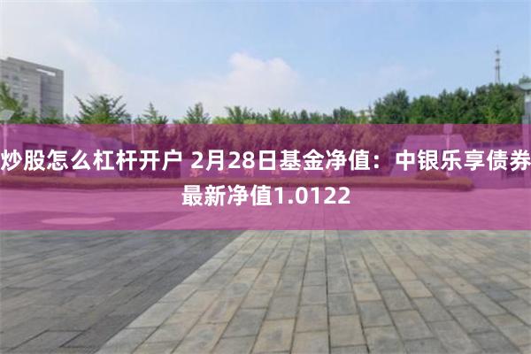 炒股怎么杠杆开户 2月28日基金净值：中银乐享债券最新净值1.0122