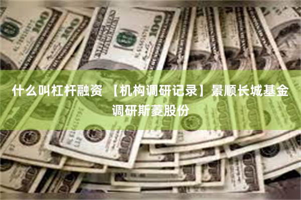 什么叫杠杆融资 【机构调研记录】景顺长城基金调研斯菱股份